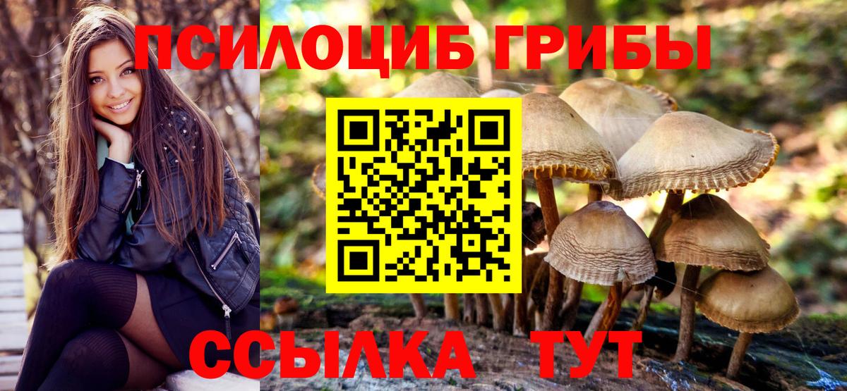 Псилоцибиновые грибы Psilocybine cubensis  Вход с VPN  Псилоцибиновые грибы Psilocybe  Заинск 